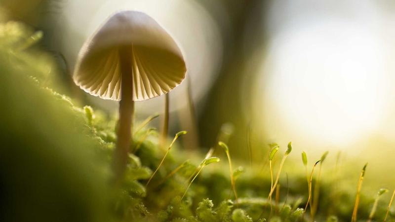 每日爆料实时快讯特色